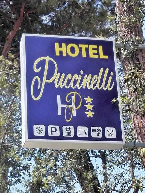 Hotel Puccinelli 3*