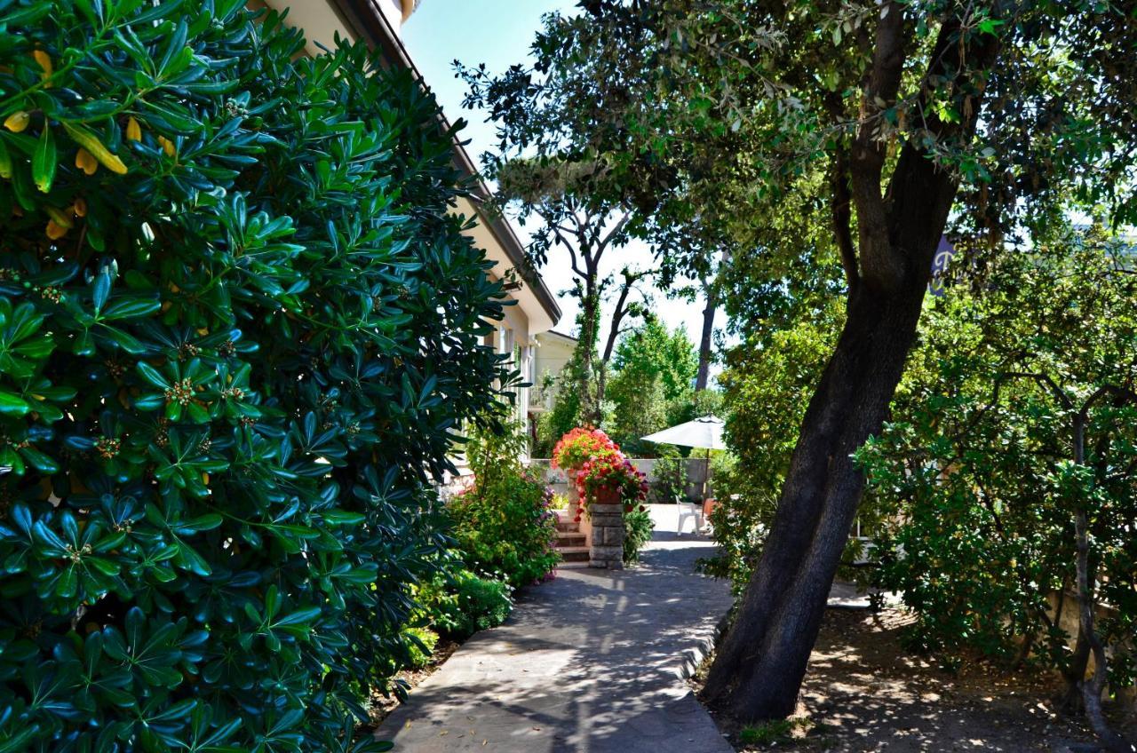 Puccinelli Hotel 3*