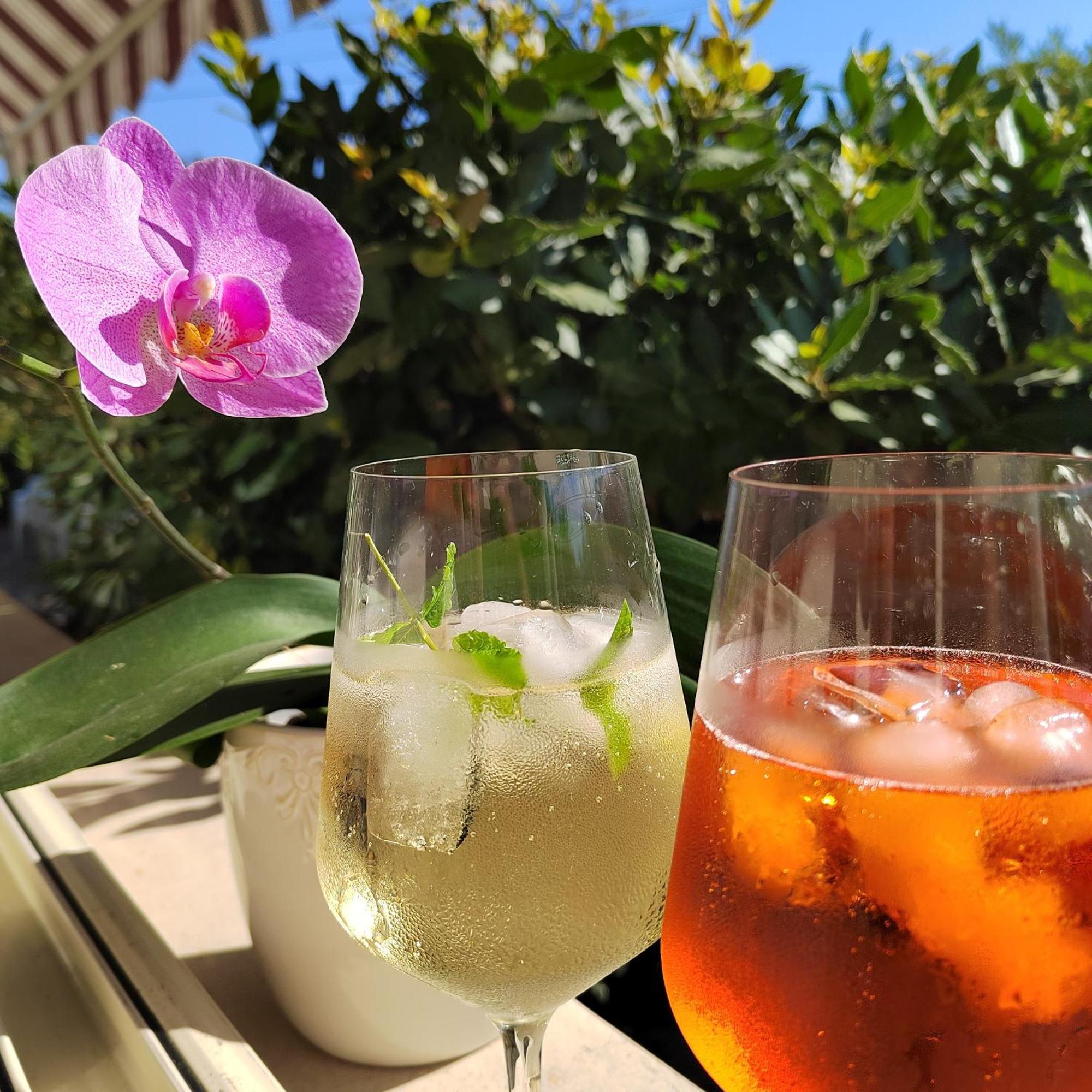 Hotel Puccinelli Lido di Camaiore