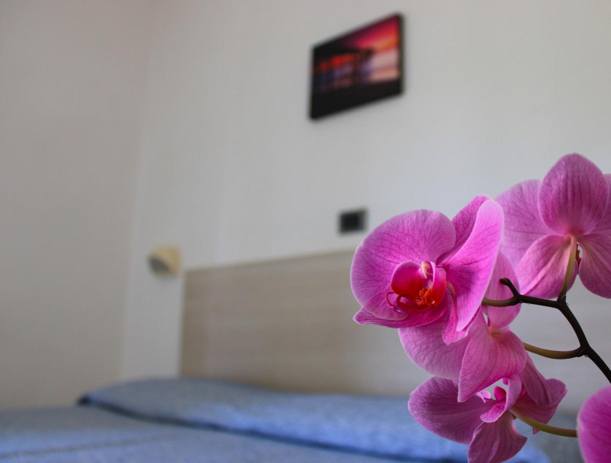 Puccinelli Hotel
