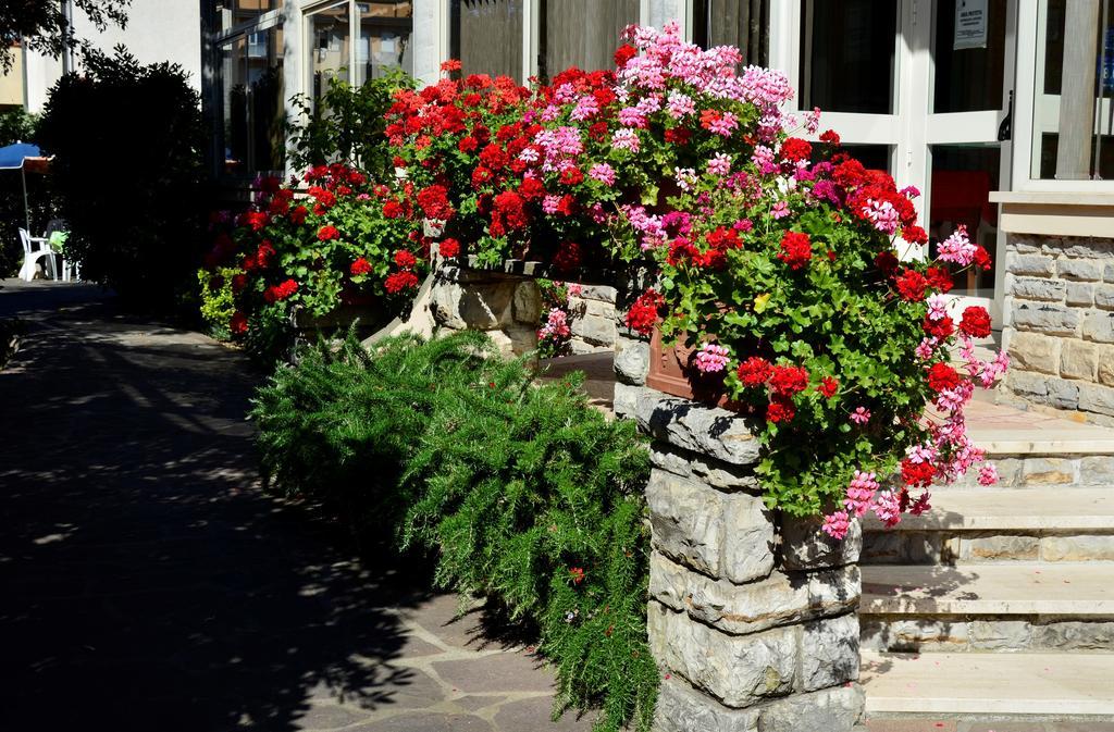 Hotel Puccinelli 3*